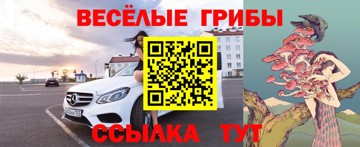Галлюциногенные грибы MAGIC MUSHROOMS  Вход с VPN  Курчалой 